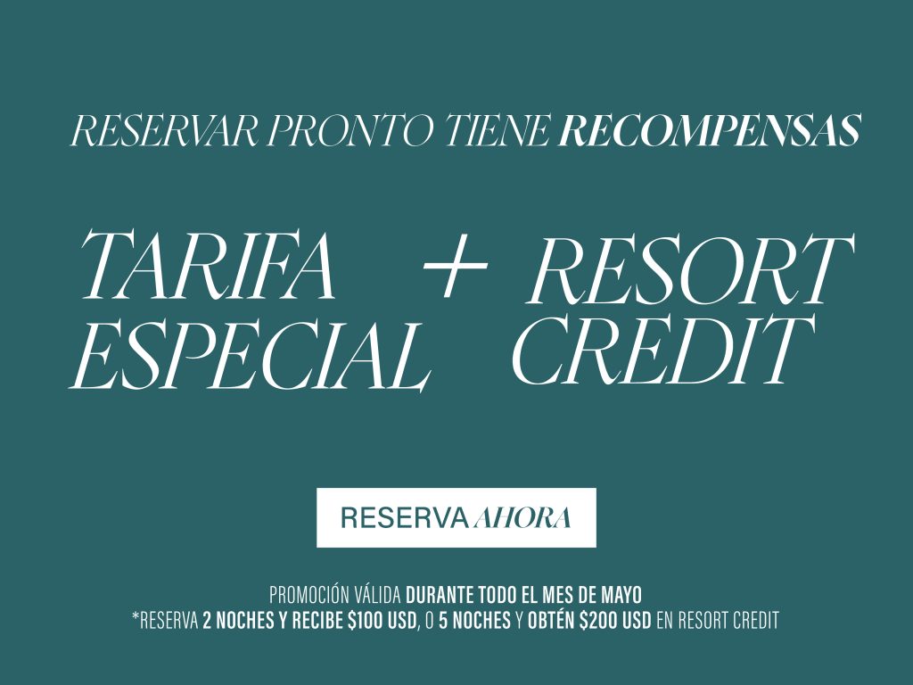 Aprovecha nuestra oferta especial en Bucerías: recibe hasta $200 USD en resort credit al reservar directo en Ysuri Hotel. Frente al mar, con alberca y rooftop. ¡Reserva antes del 31 de mayo!